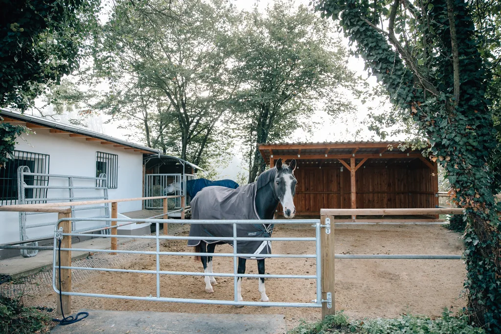 Der Offenstall des Reitstalls Pulheim